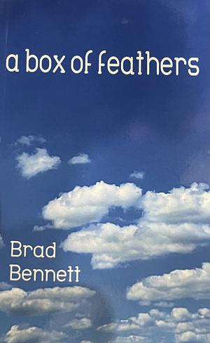 a box of feathers by Brad Bennett