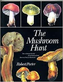 The Mushroom Hunt by Robert Porter