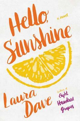 Hello, Sunshine by Laura Dave