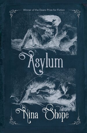 Asylum by Nina Shope