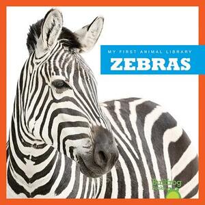 Zebras by Cari Meister