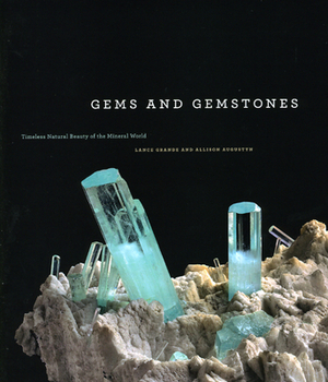 Gems and Gemstones: Timeless Natural Beauty of the Mineral World by Lance Grande, Allison Augustyn