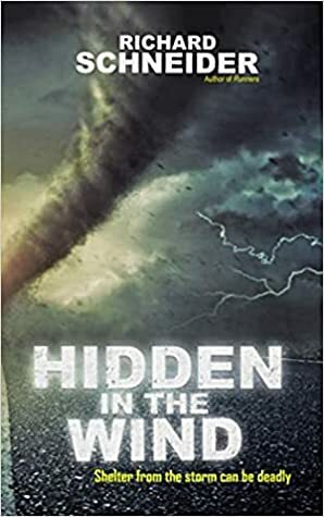 Hidden in the Wind by Richard Schneider