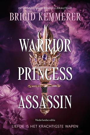 Warrior Princess Assassin by Brigid Kemmerer