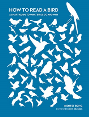 How To Read a Bird: A smart guide to what birds do and why by Wenfei Tong