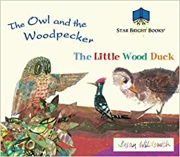 Brian Wildsmith Read Along Set: The Owl and the Woodpecker/The Little Wood Duck With The Owl and the Woodpecker, the Little Wood Duck by Brian Wildsmith