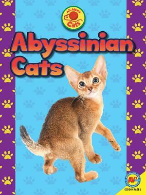 Abyssinian Cats by Tammy Gagne, John Willis