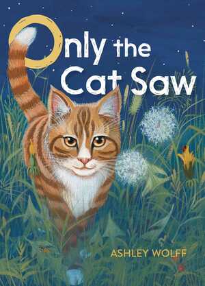 Only the Cat Saw by Ashley Wolff
