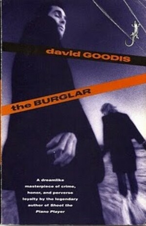 The Burglar by David Goodis