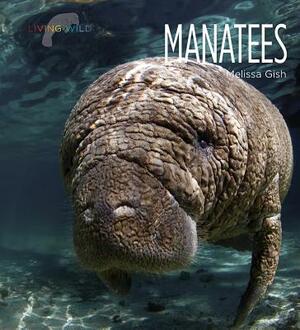 Manatees by Melissa Gish