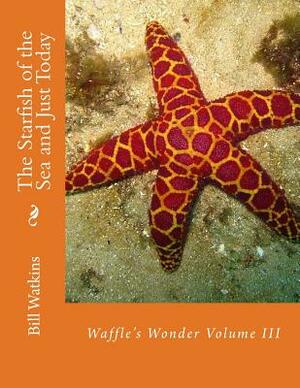The Starfish of the Sea and Just Today by Bill Watkins