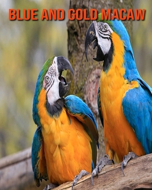 Blue and Gold Macaw: Learn About Blue and Gold Macaw and Enjoy Colorful Pictures by Diane Jackson