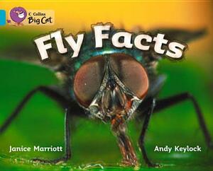 Fly Facts Workbook by Janice Marriott