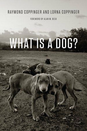 What Is a Dog? by Lorna Coppinger, Raymond Coppinger, Alan Beck