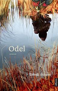 Odel: roman by Dordi Strøm
