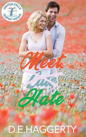 Meet Hate by D.E. Haggerty