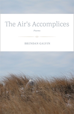 The Air's Accomplices: Poems by Brendan Galvin