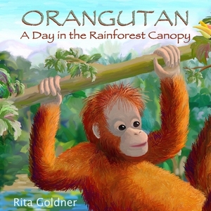 Orangutan: A Day in the Rainforest Canopy by Rita Goldner