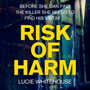 Risk of Harm by Lucie Whitehouse