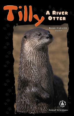 Tilly: A River Otter by Bonnie Highsmith Taylor