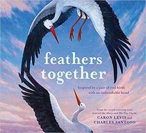 Feathers Together by Charles Santoso, Caron Levis