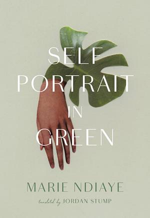 Self Portrait in Green by Marie NDiaye