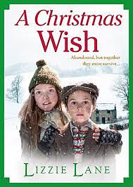 A Christmas Wish by Lizzie Lane