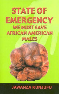 State of Emergency: We Must Save African American Males by Jawanza Kunjufu