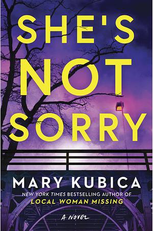 She's Not Sorry by Mary Kubica