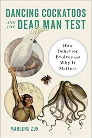 Dancing Cockatoos and the Dead Man Test: How Behavior Evolves and Why It Matters by Marlene Zuk