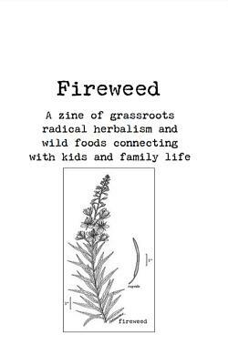 Fireweed #1: A Zine of Grassroots Radical Herbalism and Wild Foods Connecting with Kids and Family Life by Jess Krueger