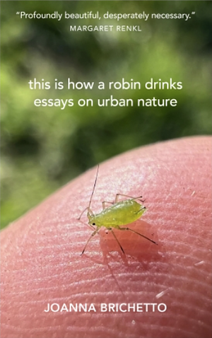 This Is How a Robin Drinks: Essays on Urban Nature by Joanna Brichetto