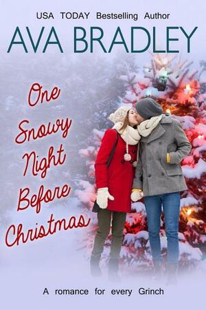One Snowy Night Before Christmas by Pamela Fryer