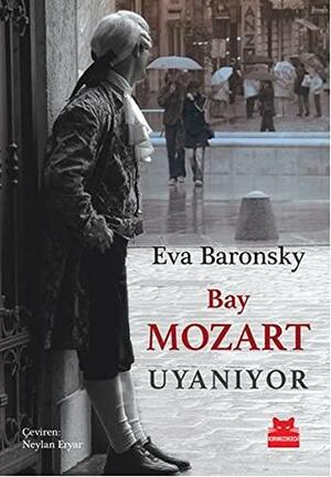 Bay Mozart Uyanıyor by Eva Baronsky