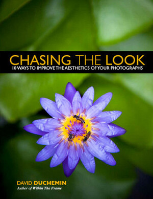 Chasing the Look: 10 Ways to Improve The Aesthetics of Your Photographs by David duChemin