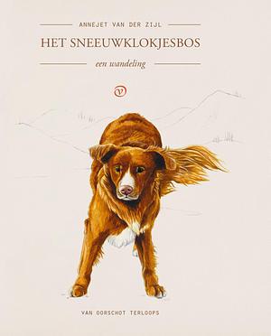 Het sneeuwklokjesbos: een wandeling by Annejet van der Zijl