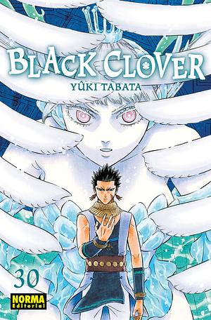 Black Clover vol. 30: Buenas noticias by Yûki Tabata