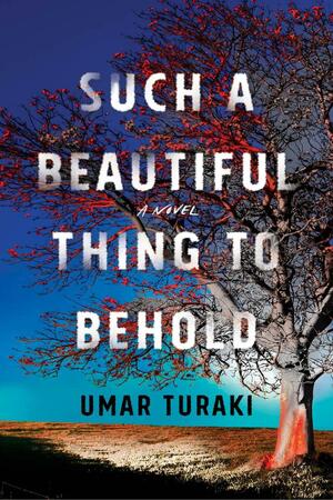 Such a Beautiful Thing to Behold: A Novel by Umar Turaki, Umar Turaki
