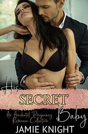 His Secret Baby by Jamie Knight