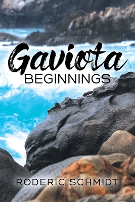 Gaviota Beginnings by Roderic Schmidt