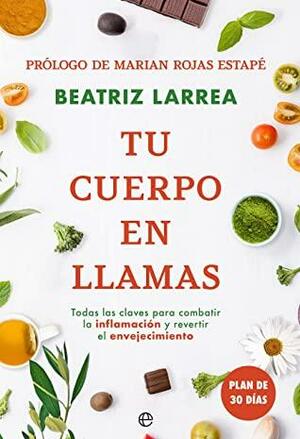 Tu cuerpo en llamas by Beatriz Larrea