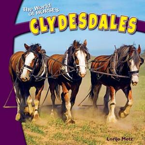 Clydesdales by Lorijo Metz