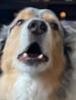 tiffg3's profile picture