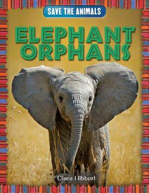 Elephant Orphans by Clare Hibbert