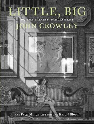 Little, Big; or, The Fairies' Parliament by John Crowley