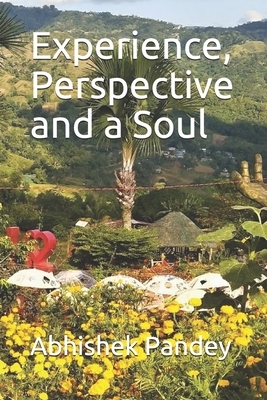 Experience, Perspective and a Soul by Abhishek Pandey