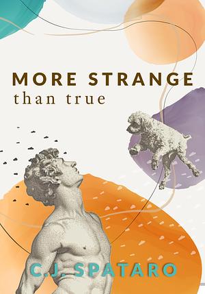 More Strange Than True by C J Spataro