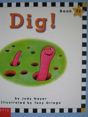 Dig! by Judy Nayer
