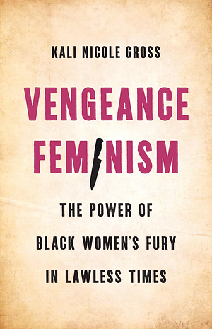 Vengeance Feminism: The Power of Black Women's Fury in Lawless Times by Kali Nicole Gross