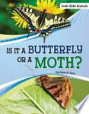 Is It a Butterfly Or a Moth? by Susan B. Katz